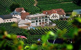 Boutiquehotel WEINSPITZ&Weingut STRAWANZER Donabaum